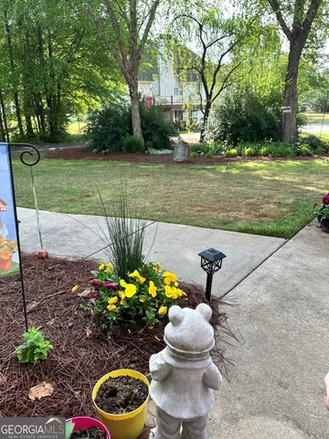 a view of a garden with plants and trees