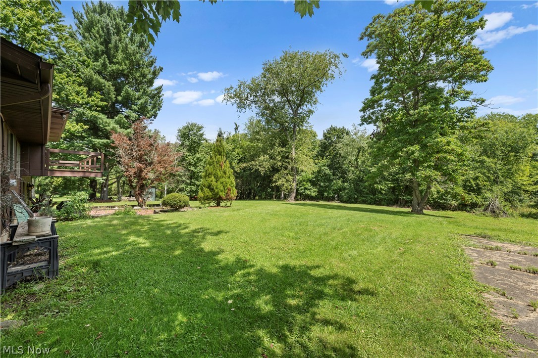 6451 Kungle Road Clinton, OH 44216 - Photo 8 of 34 Expansive manicured lawn with mature landscaping and established trees throughout the grounds