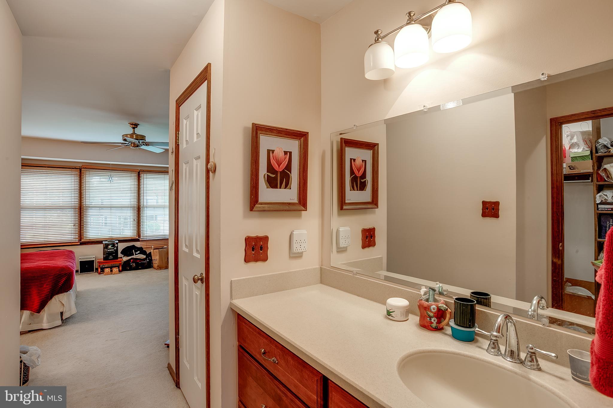 402 Doerrmann Drive Mickleton, NJ 08056 - Photo 17 of 34 a bathroom with a sink vanity and a mirror