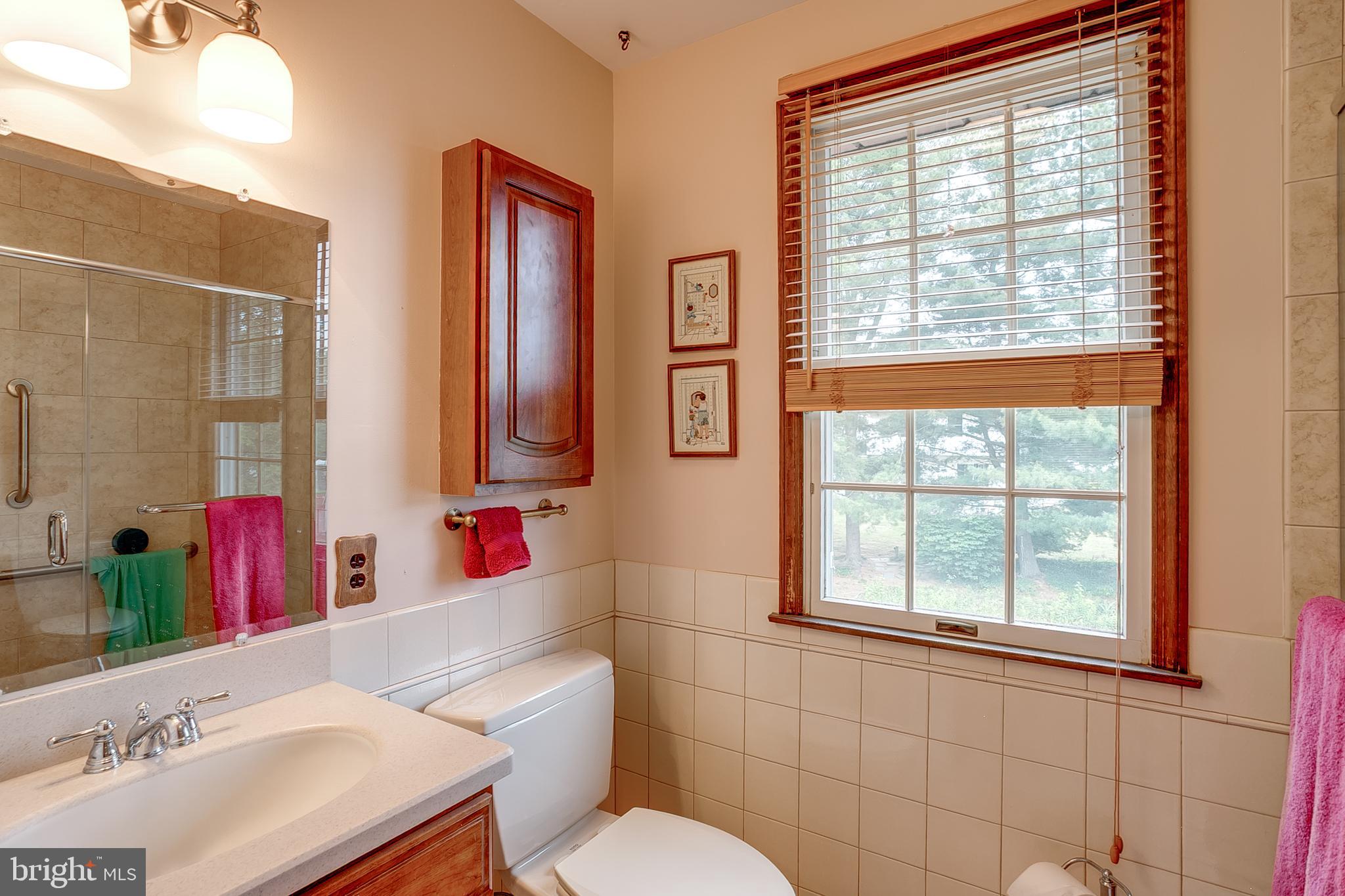 402 Doerrmann Drive Mickleton, NJ 08056 - Photo 19 of 34 a bathroom with a sink vanity mirror and toilet