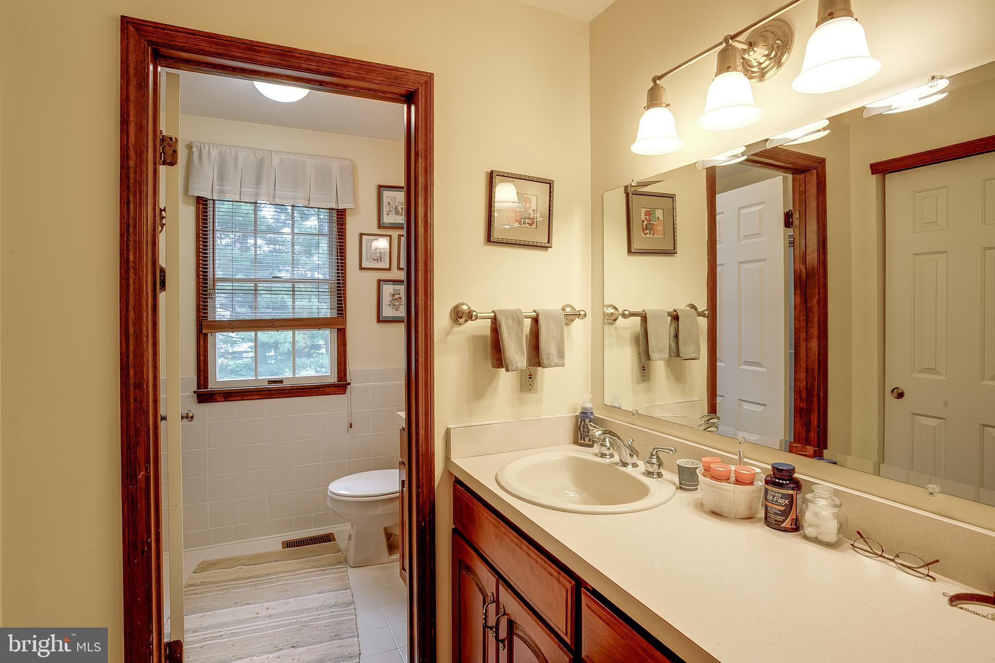402 Doerrmann Drive Mickleton, NJ 08056 - Photo 23 of 34 a bathroom with a sink a toilet and a large mirror