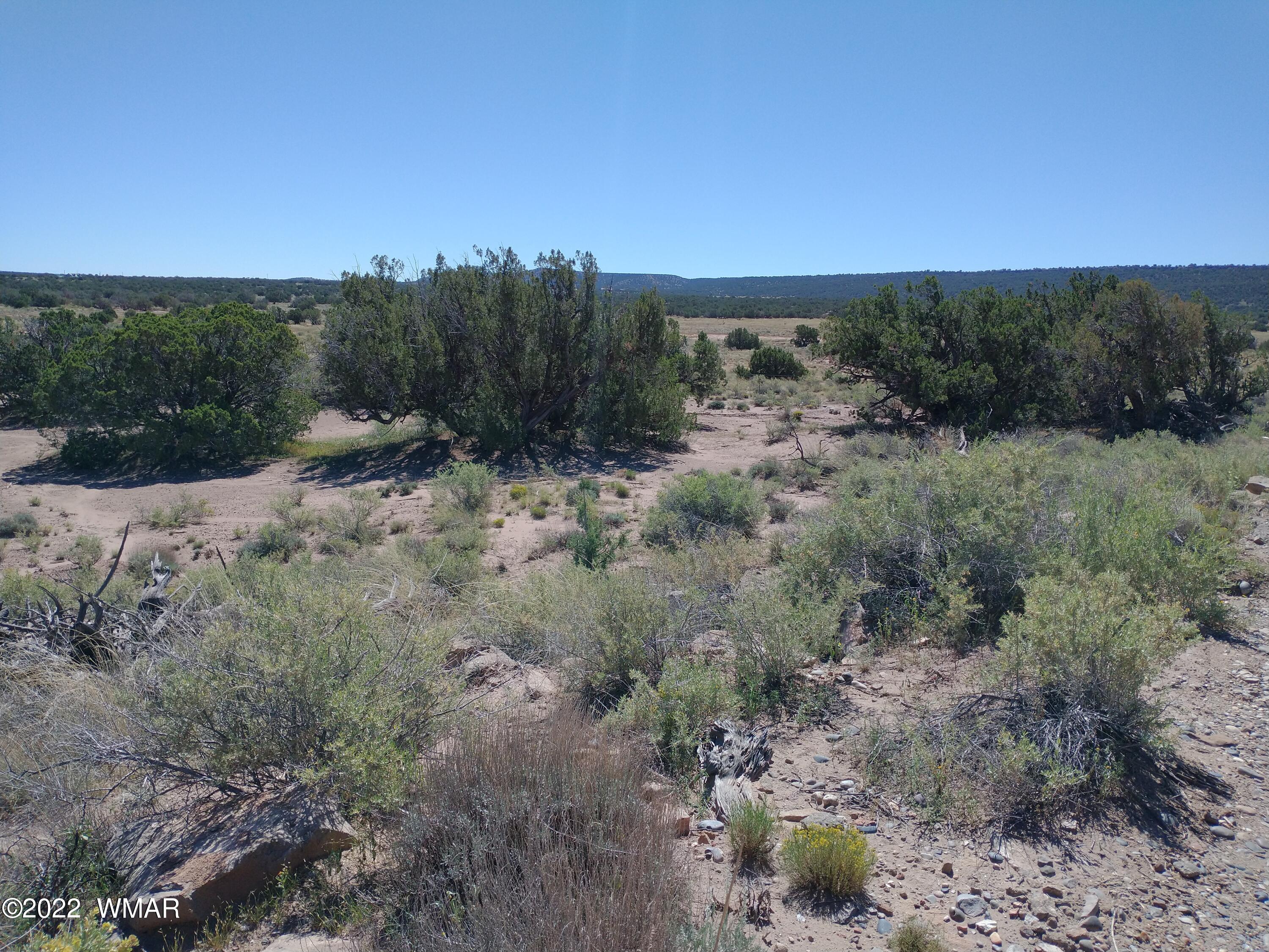 4021 Sorrel Road Snowflake, AZ 85937 - Photo 1 of 15 a view of a field with trees in the background