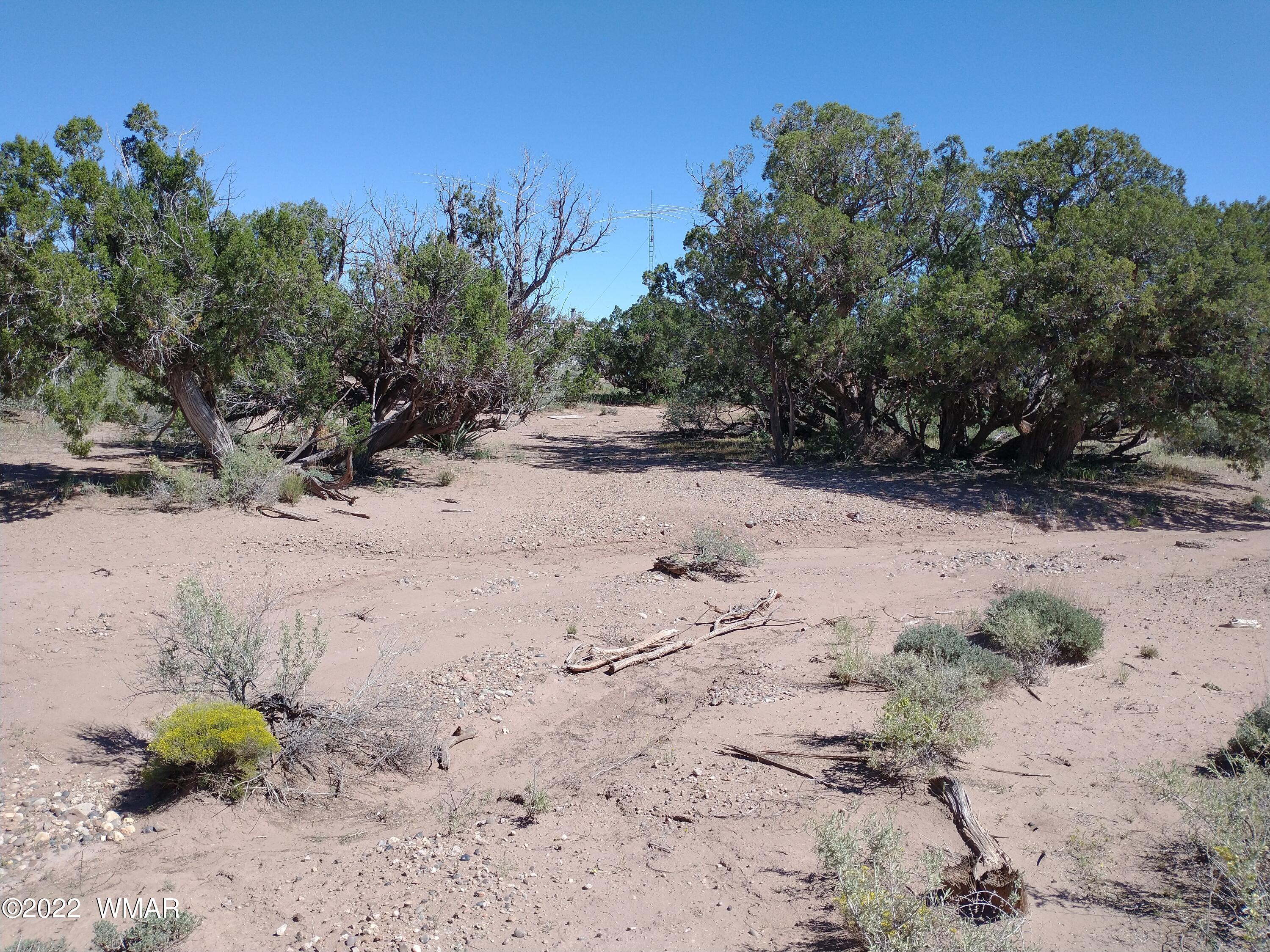 4021 Sorrel Road Snowflake, AZ 85937 - Photo 5 of 15 a view of a dirt road with a building in the background