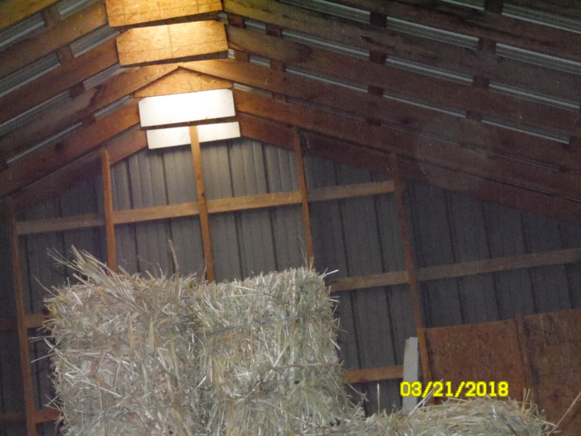 31685 Longnecker Road Leonidas, MI 49066 - Photo 29 of 30 SAM_5662