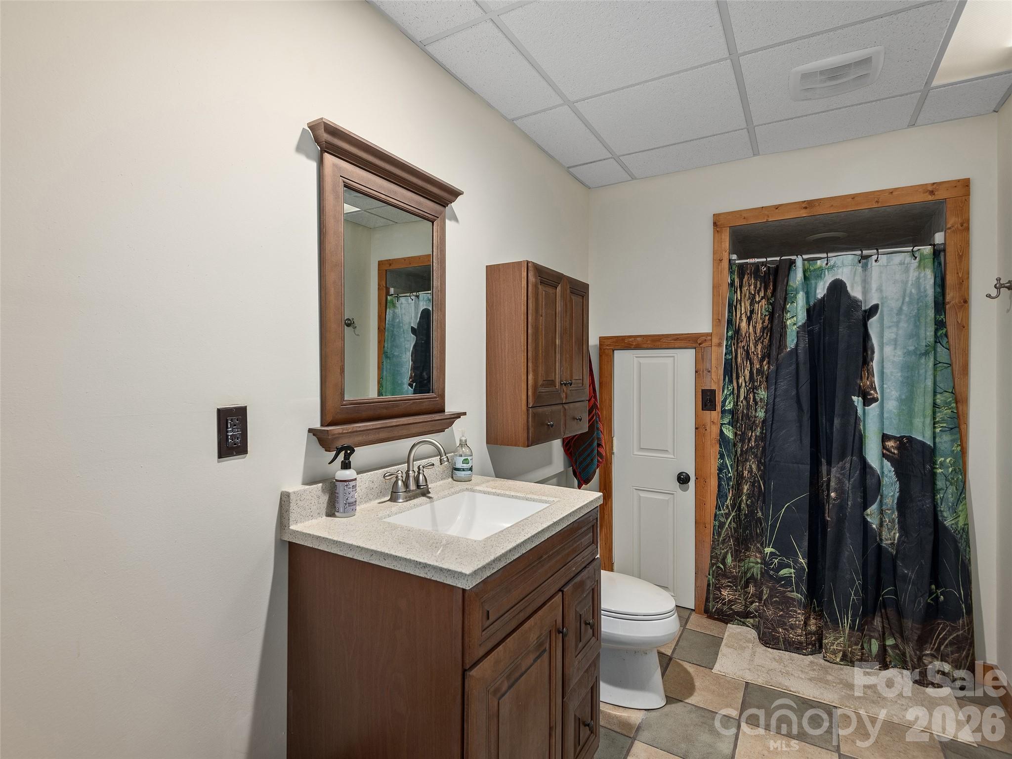 213 Rice Drive Waynesville, NC 28785 - Photo 29 of 39