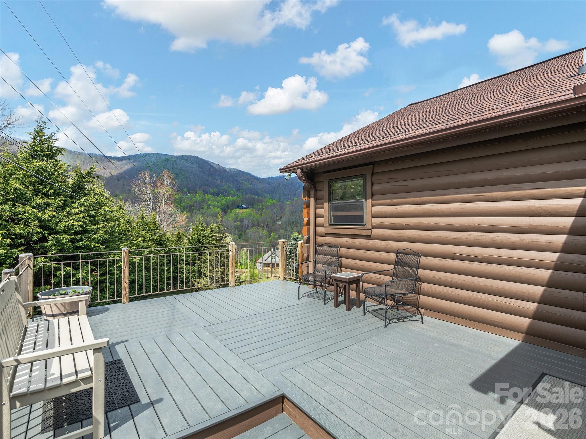 213 Rice Drive Waynesville, NC 28785 - Photo 3 of 39