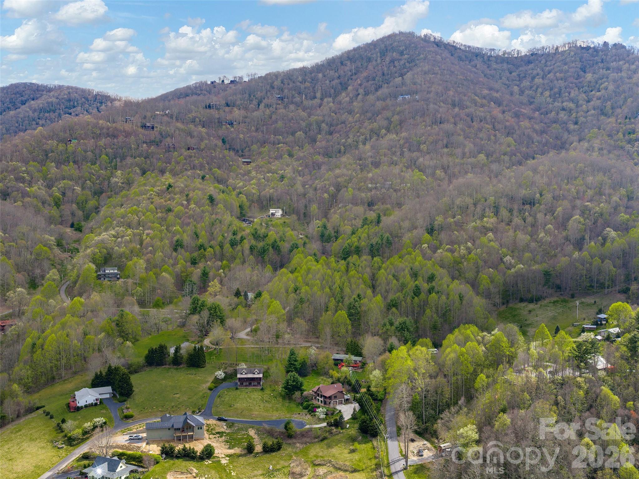 213 Rice Drive Waynesville, NC 28785 - Photo 39 of 39