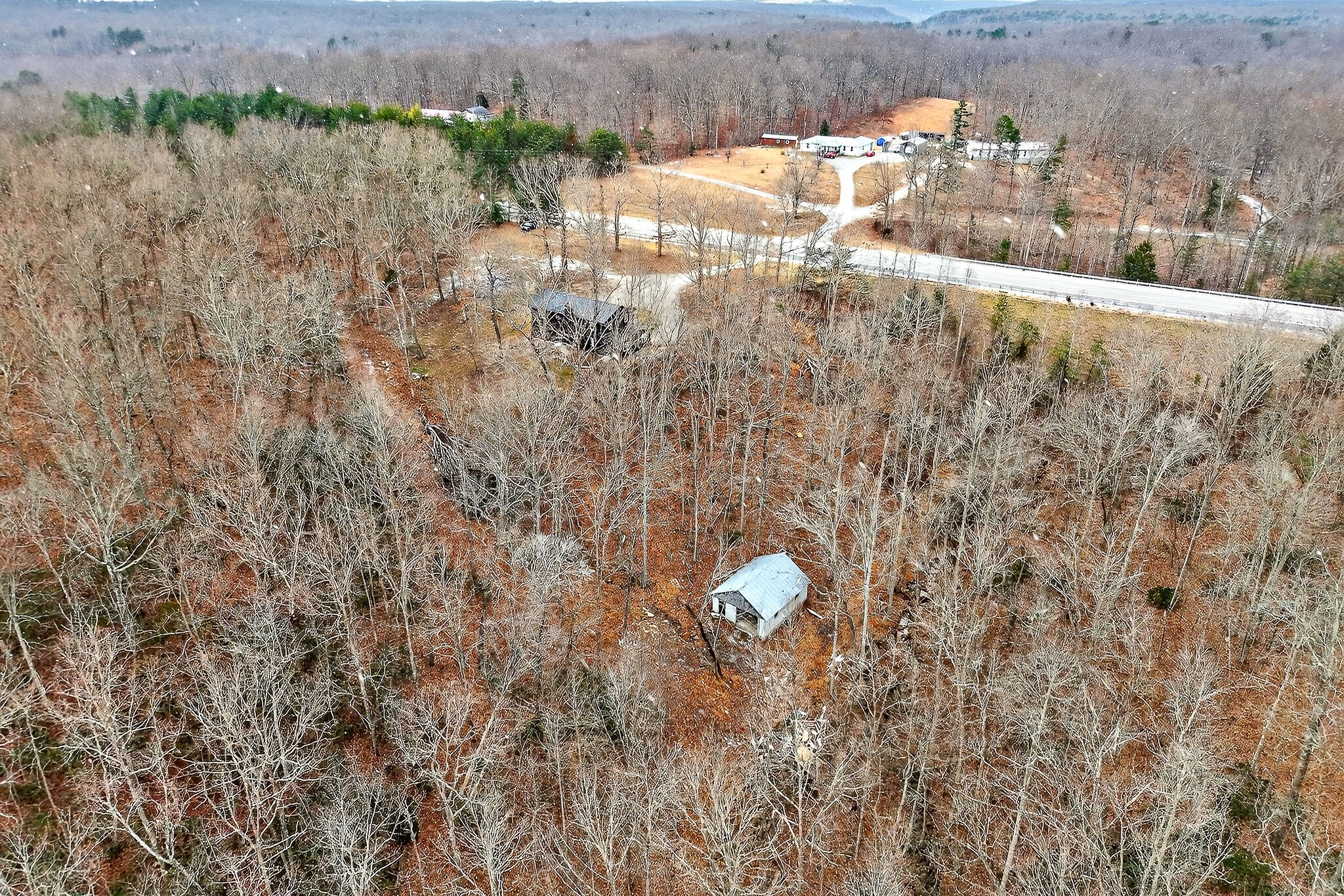 9388 Harrison Ferry Road McMinnville, TN 37110 - Photo 11 of 54 a view of lot of trees