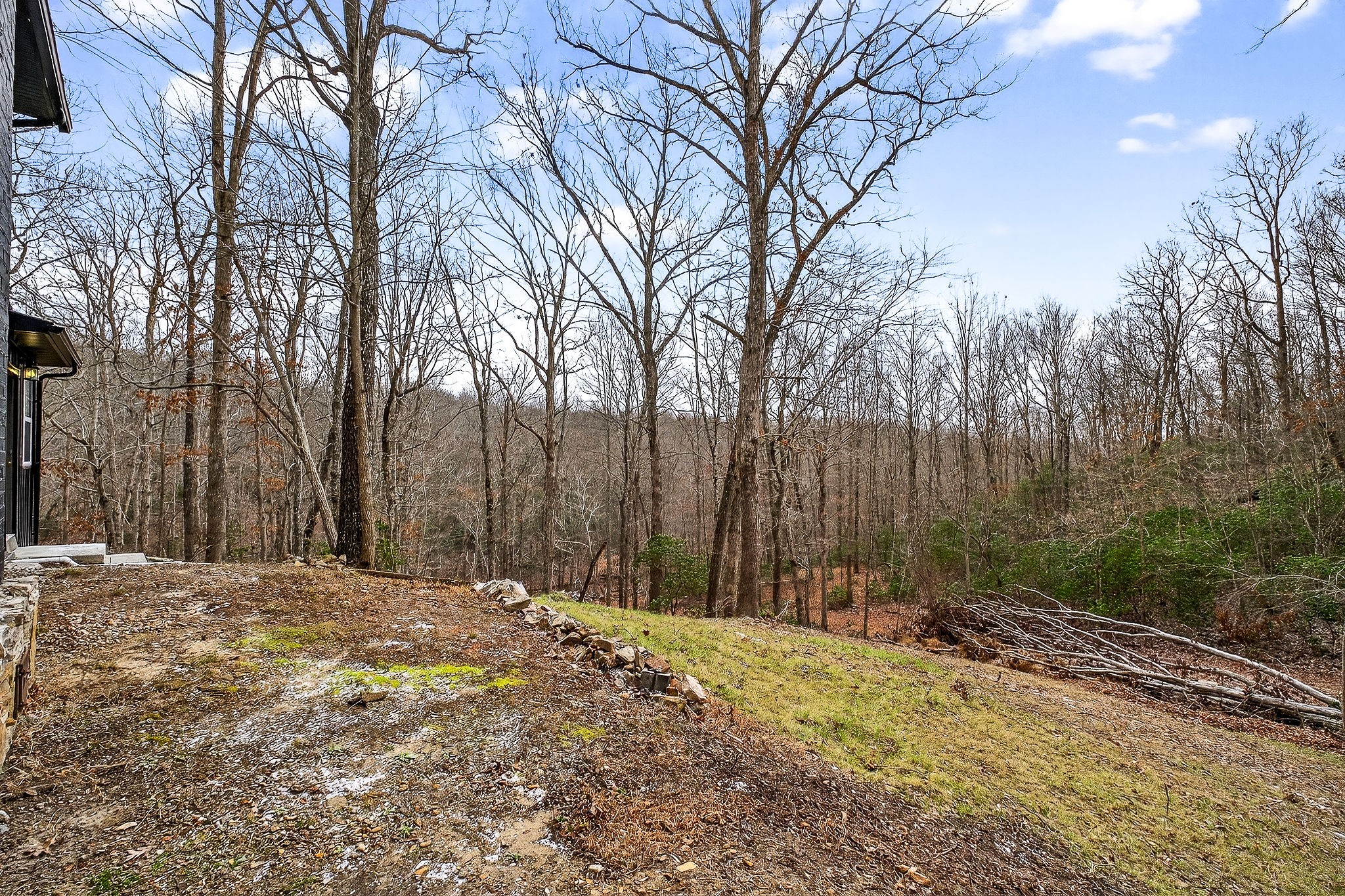 9388 Harrison Ferry Road McMinnville, TN 37110 - Photo 47 of 54 a backyard of a house with trees