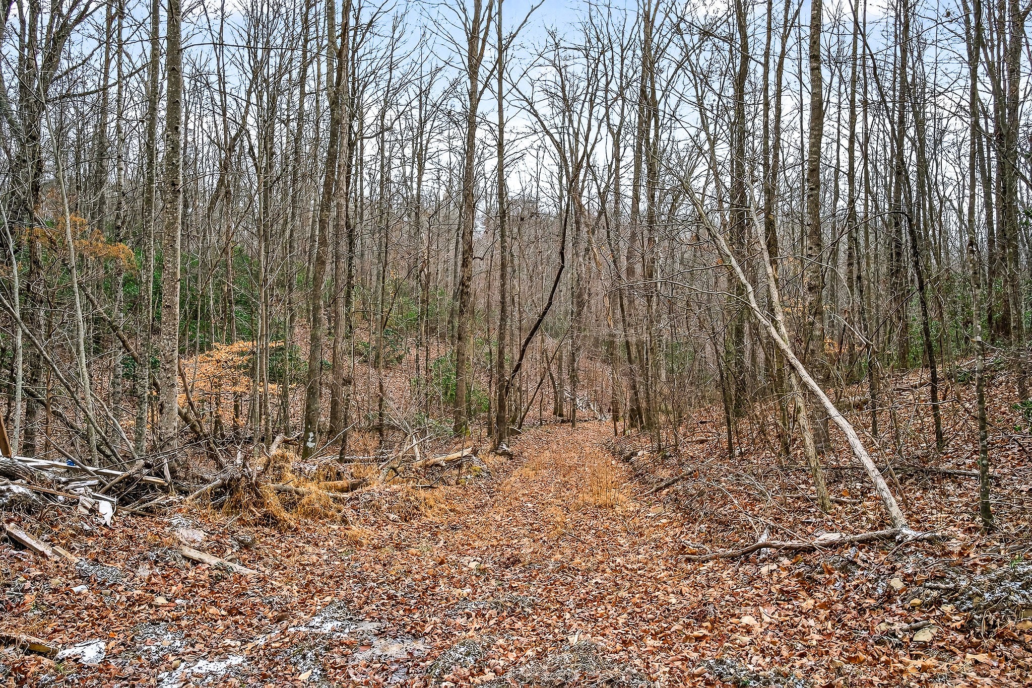 9388 Harrison Ferry Road McMinnville, TN 37110 - Photo 50 of 54 a view of wooden fence
