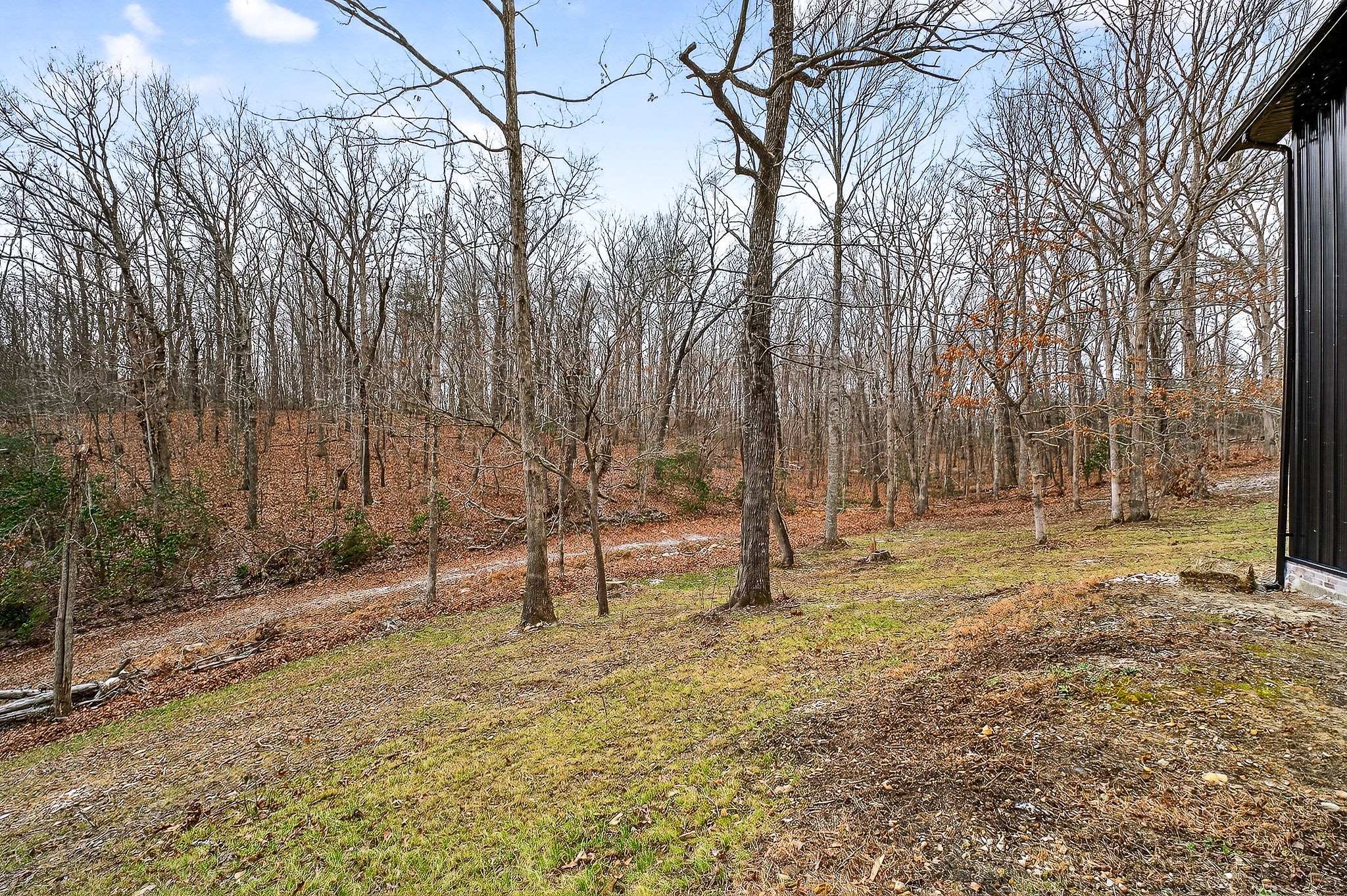 9388 Harrison Ferry Road McMinnville, TN 37110 - Photo 53 of 54 a backyard of a house with lots of green space