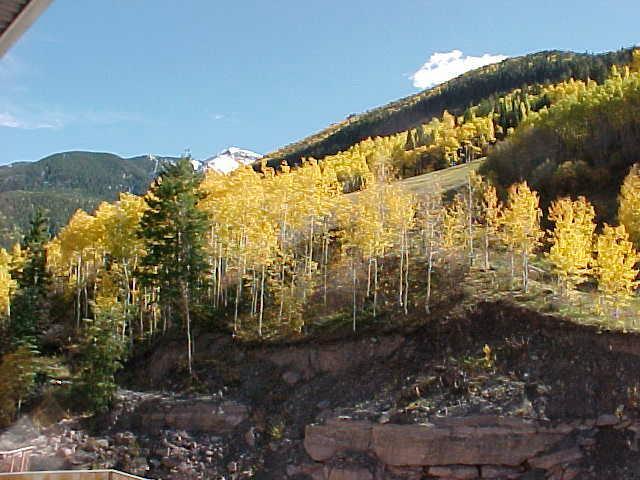 368 South Davis Street, Unit A7 Telluride, CO 81435 - Photo 6 of 9 a view of a yard