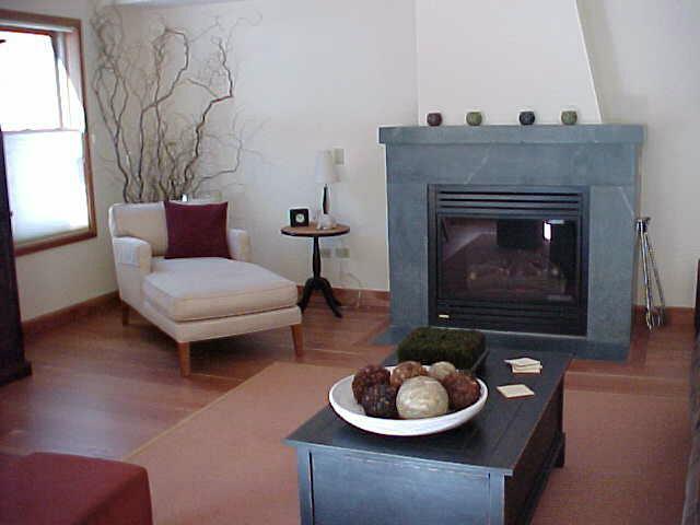 368 South Davis Street, Unit A7 Telluride, CO 81435 - Photo 9 of 9 a living room with furniture and a fireplace