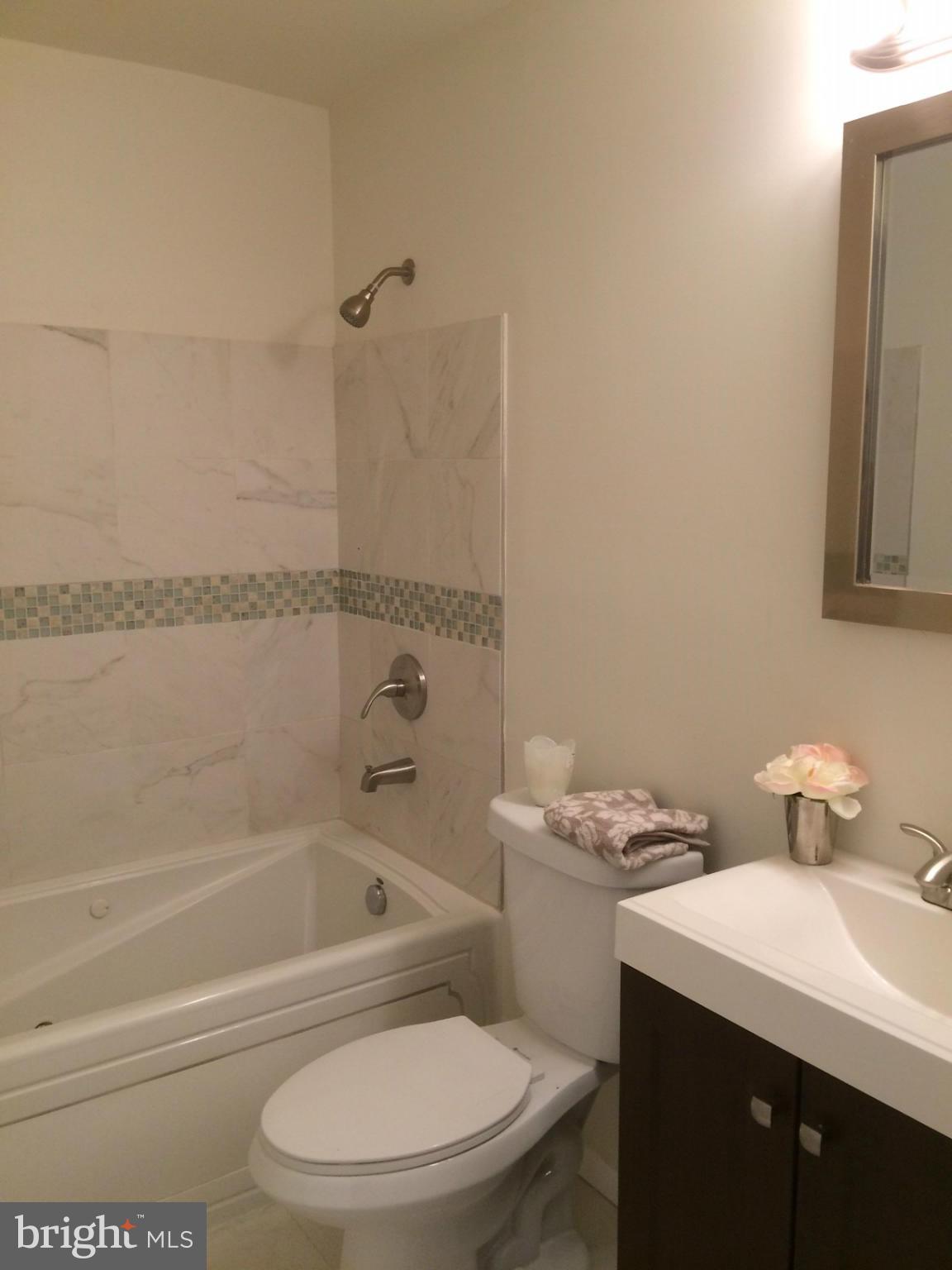 18408 Goshen Road Gaithersburg, MD 20879 - Photo 10 of 14 Bath (Master)