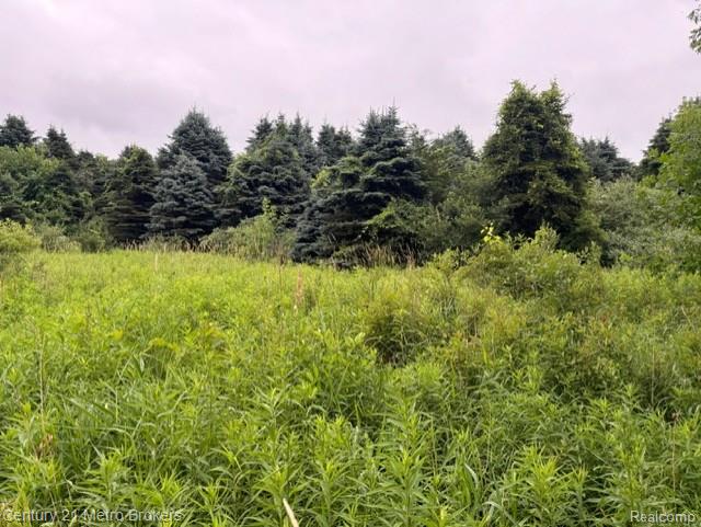 0 Davis Lake Road Lapeer, MI 48446 - Photo 3 of 12 1.jpg