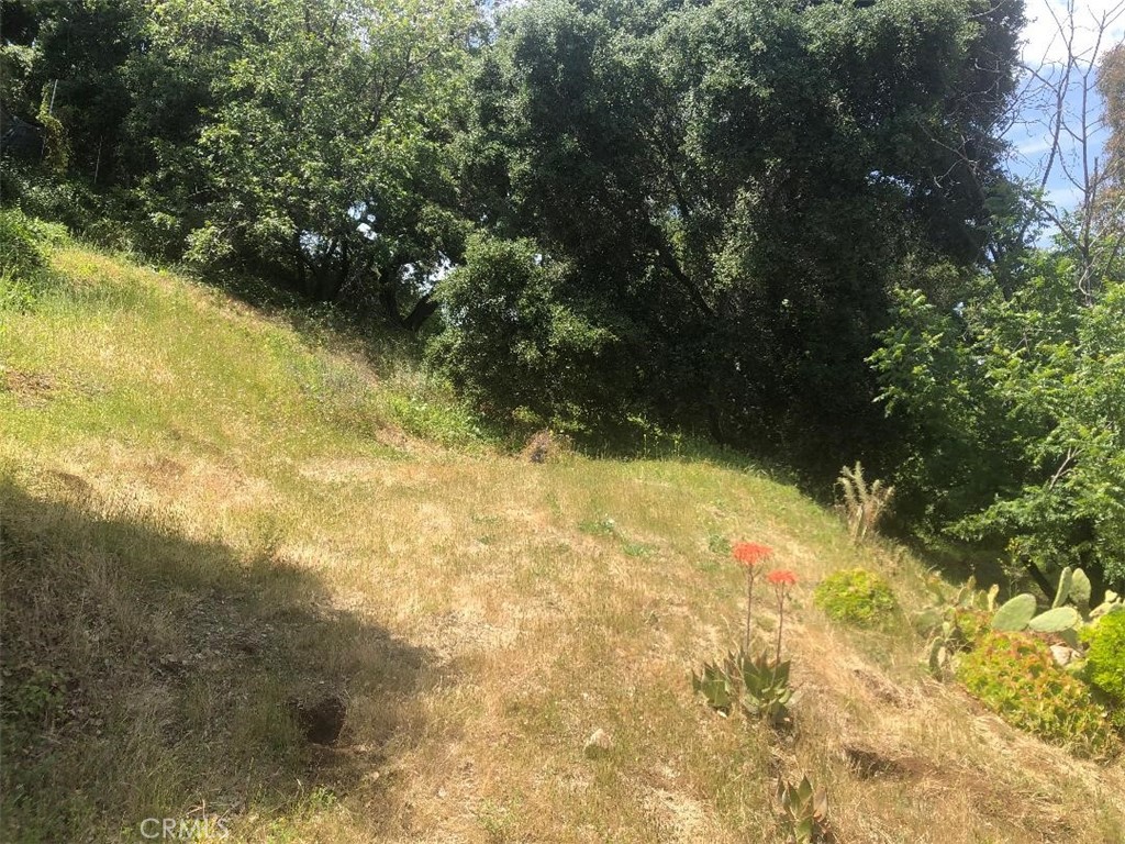 0 Eden Road Topanga, CA 90290 - Photo 1 of 1