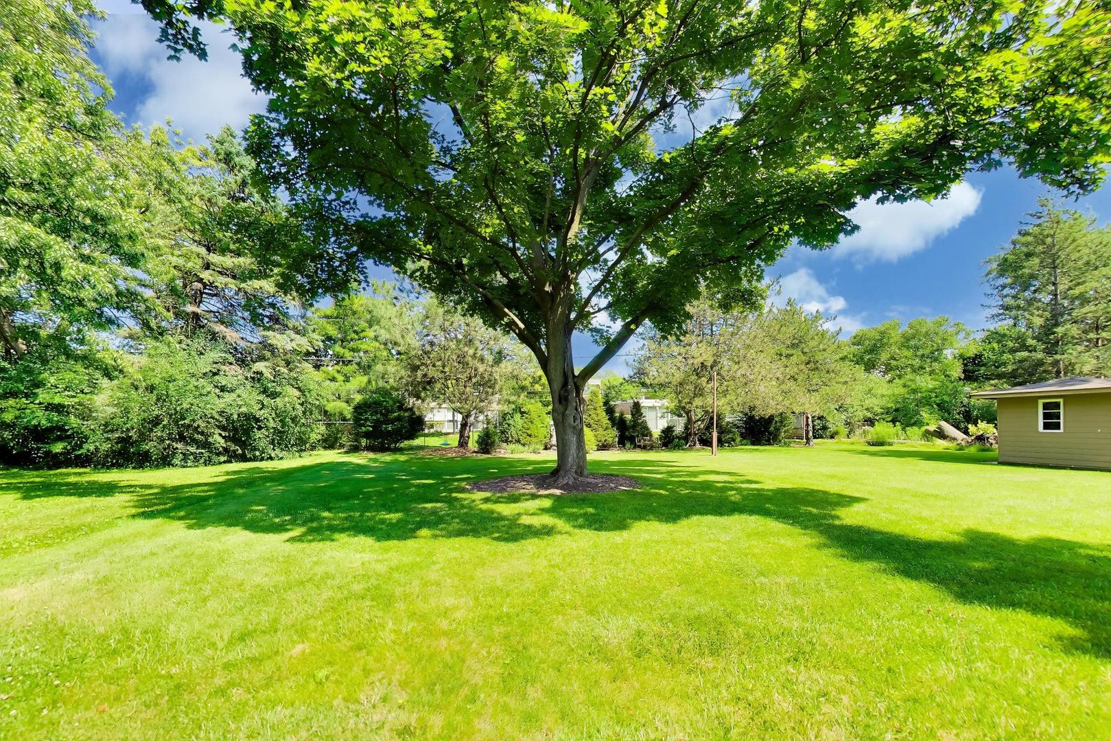 103 Cottonwood Road Northbrook, IL 60062 - Photo 43 of 50 a big yard with lots of green space and plants