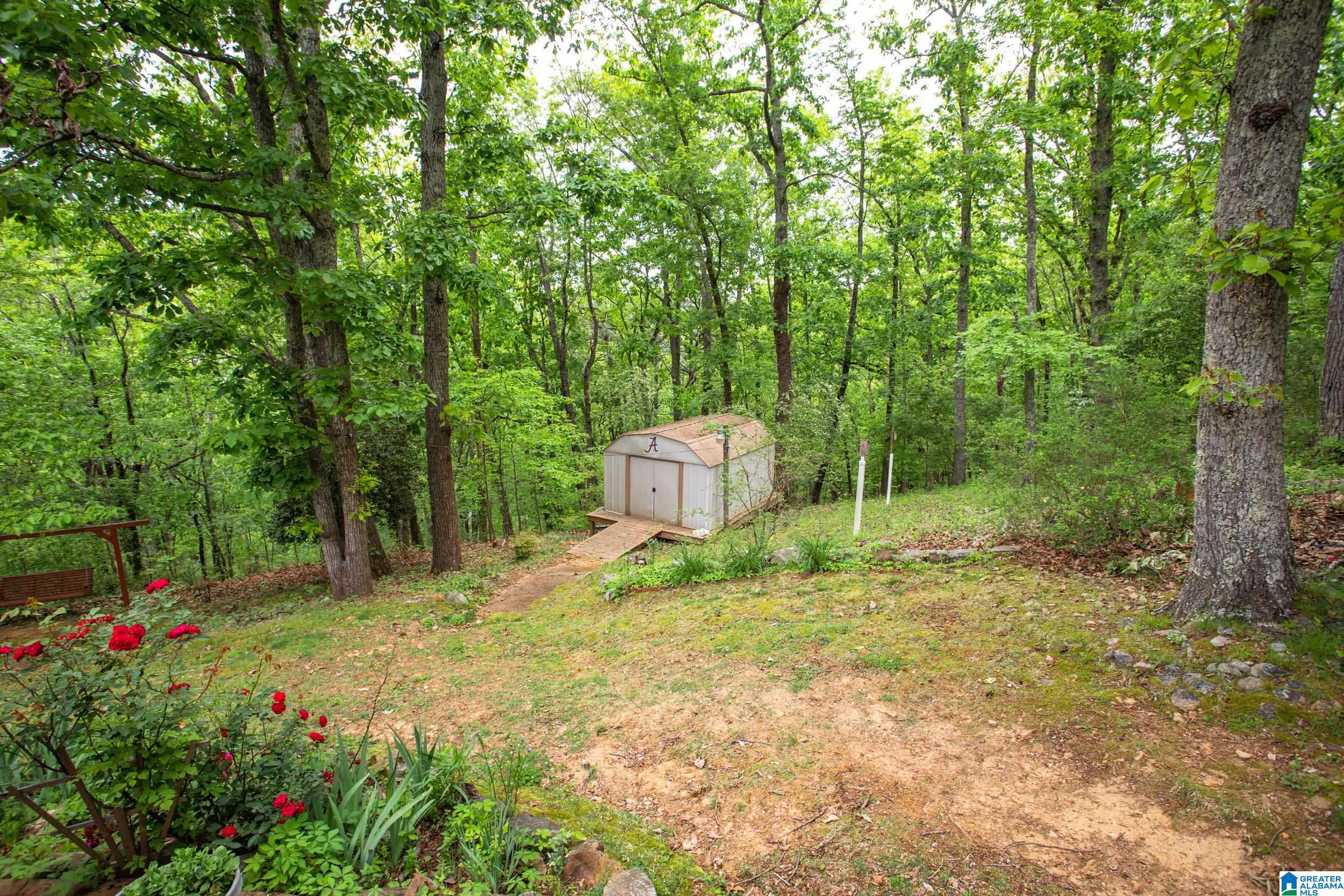 2 Alice Ridge Road Anniston, AL 36207 - Photo 39 of 44