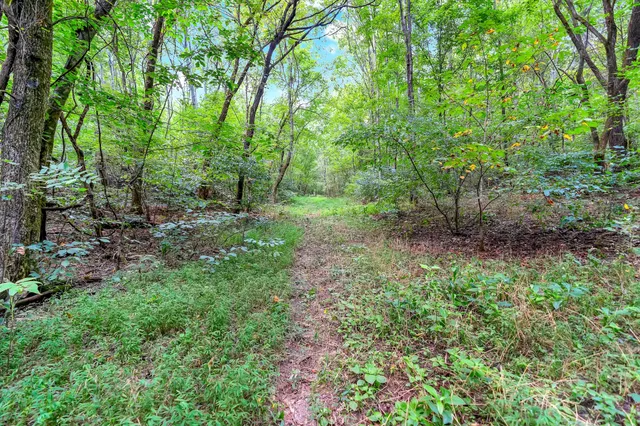 a big yard with lots of green space and deers
