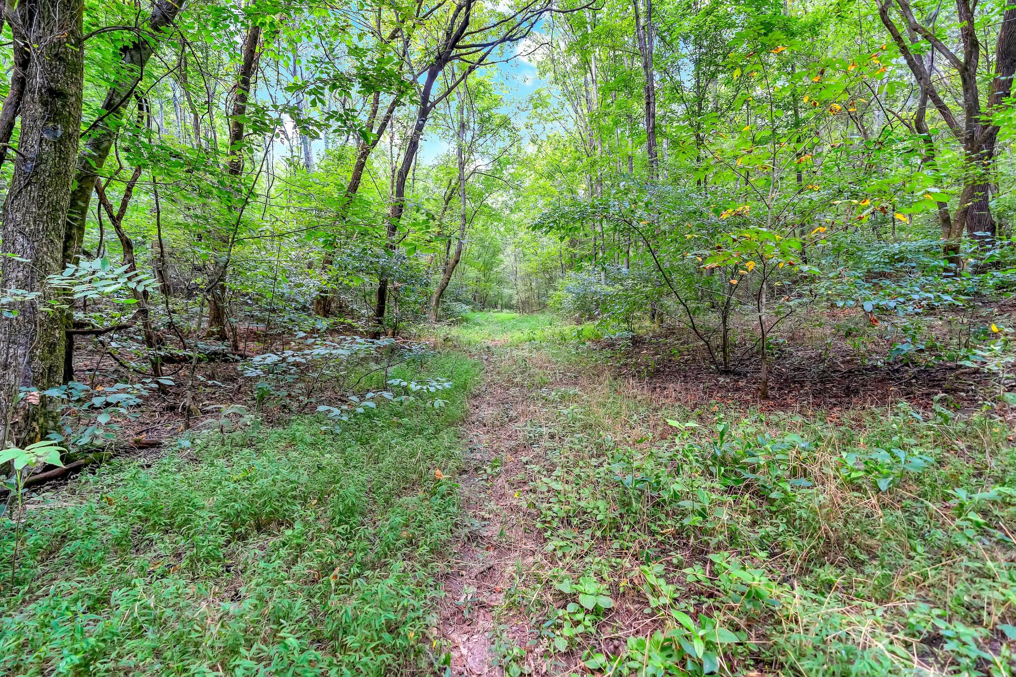 0 Red Hill Road Normandy, TN 37360 - Photo 4 of 12