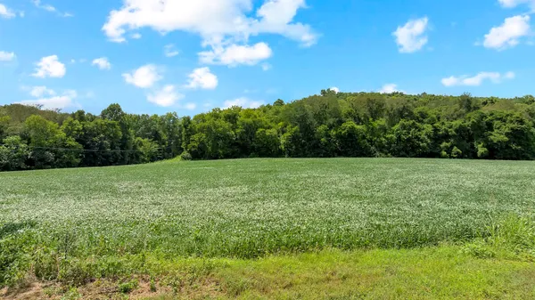 a view of a grassy field with trees