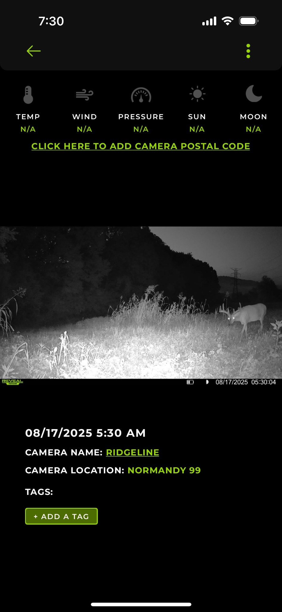 0 Red Hill Road Normandy, TN 37360 - Photo 8 of 12