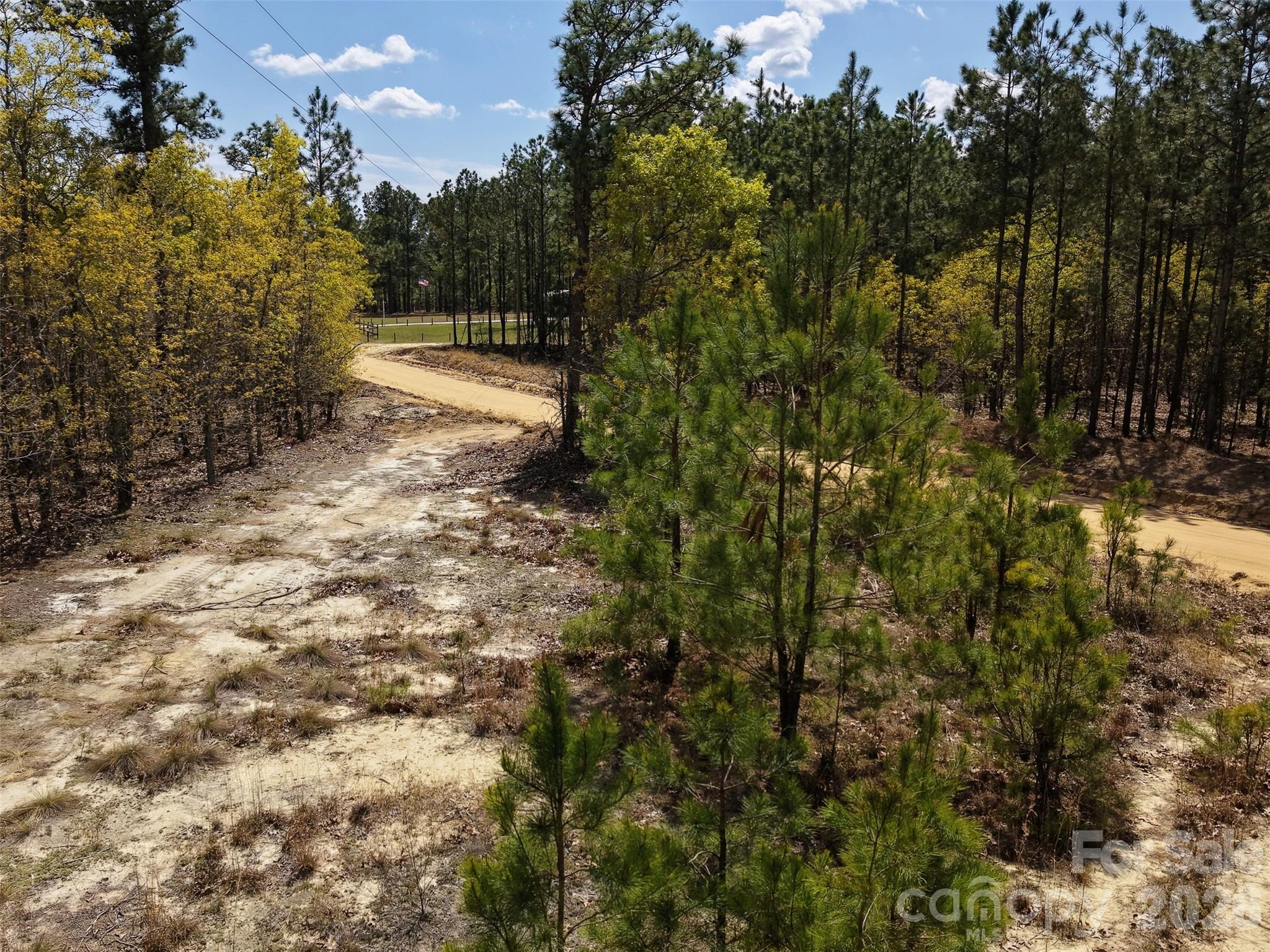 0 McQueen Road Patrick, SC 29584 - Photo 13 of 25