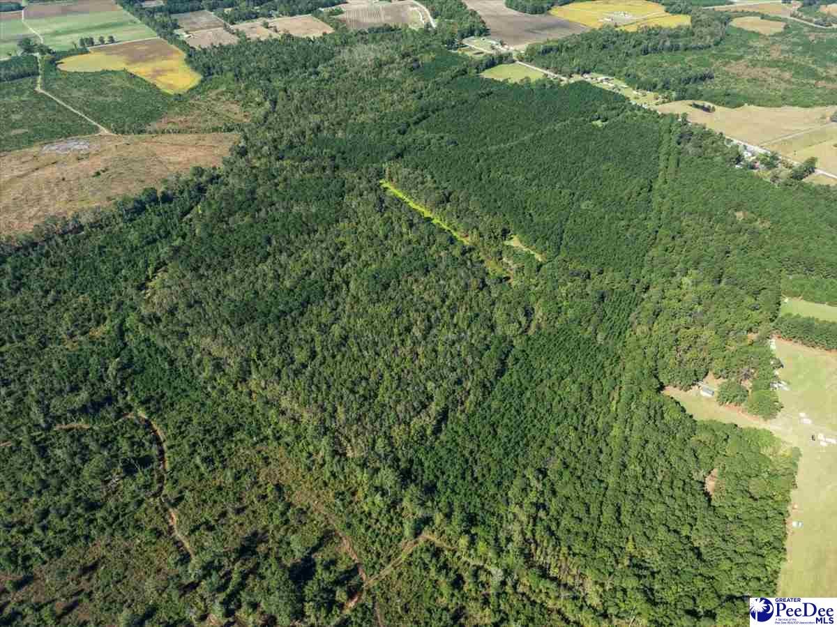 Tbd East Tbd E Friendfield Road Coward, SC 29530 - Photo 2 of 17 Gallery Image 2