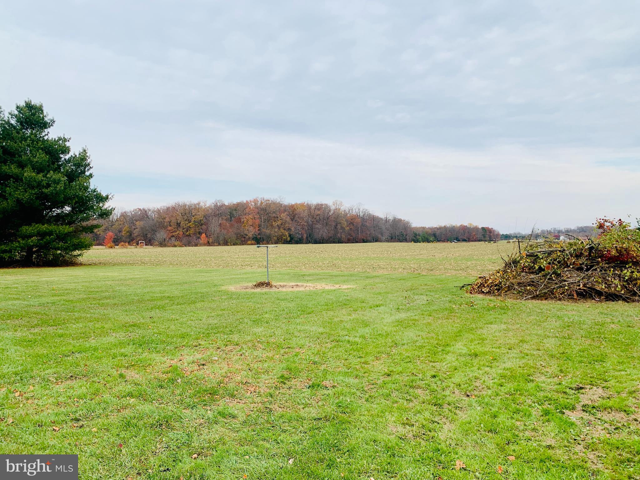 25586 Hignutt Road Denton, MD 21629 - Photo 8 of 35 Backyard