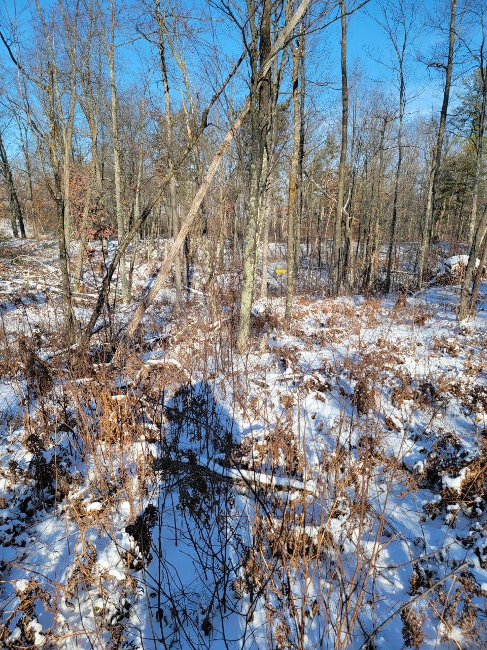 On Rollingwood Road Stone Lake, WI 54876 - Photo 23 of 32 Gallery Image 23