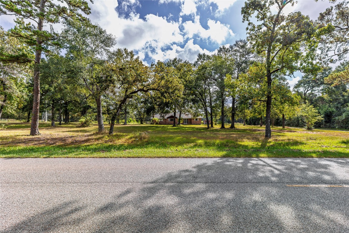 32302 Dobbin-Huffsmith Road Magnolia, TX 77354 - Photo 19 of 34 a view of green field