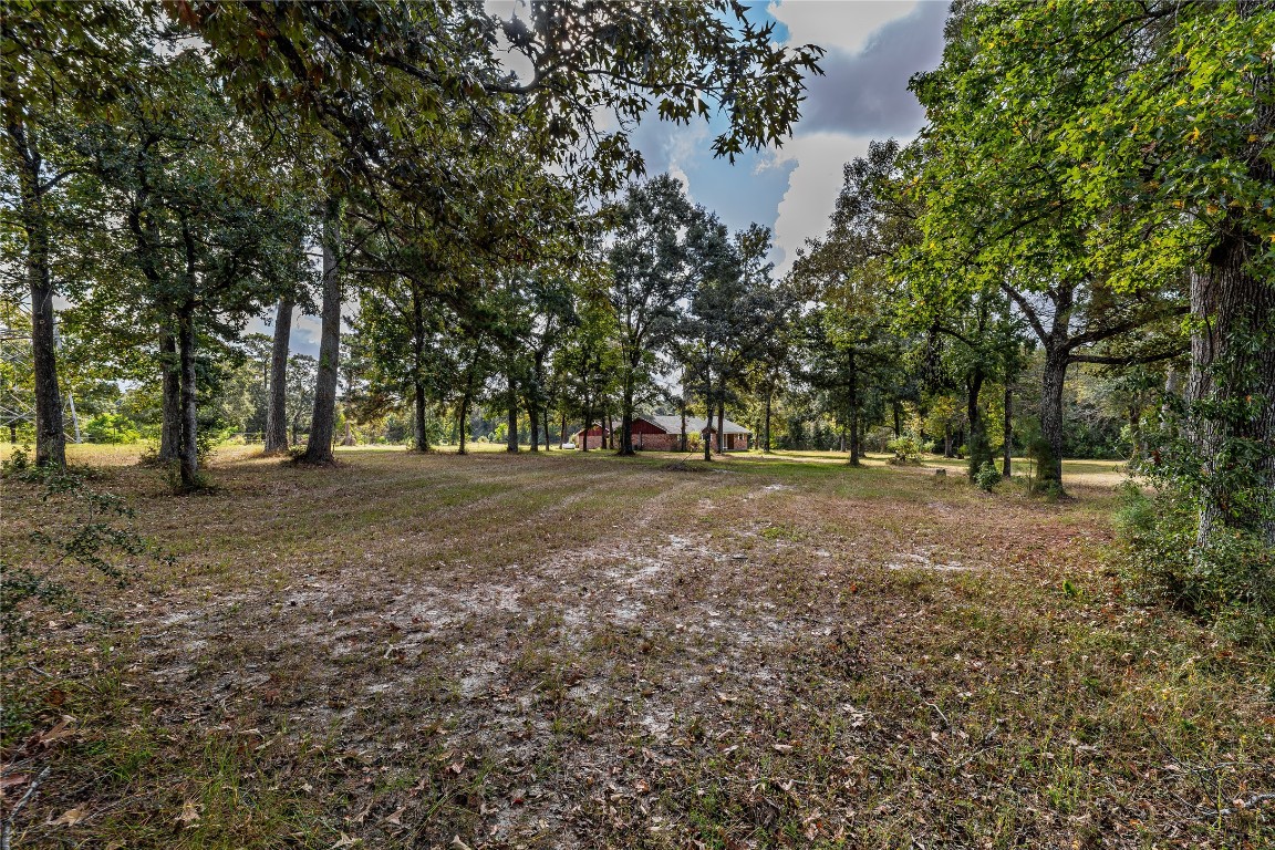 32302 Dobbin-Huffsmith Road Magnolia, TX 77354 - Photo 20 of 34 a view of outdoor space with trees
