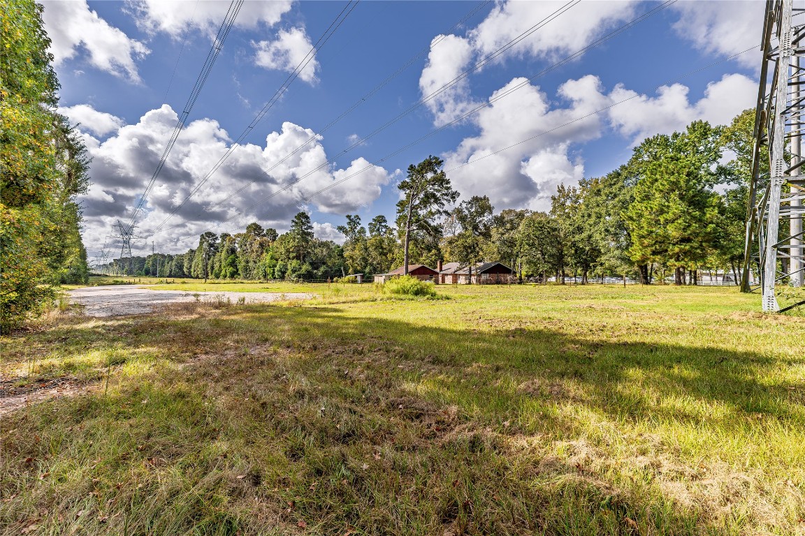 32302 Dobbin-Huffsmith Road Magnolia, TX 77354 - Photo 9 of 34 a view of yard with green space