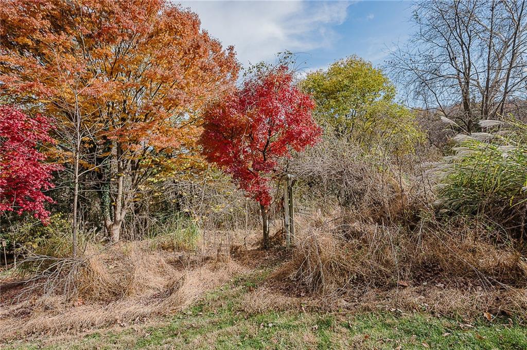 211 Old Mill Road Apollo, PA 15613 - Photo 38 of 42 a view of a yard