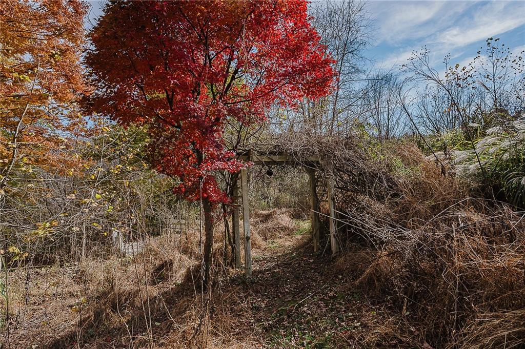 211 Old Mill Road Apollo, PA 15613 - Photo 41 of 42 a backyard of a house with lots of trees