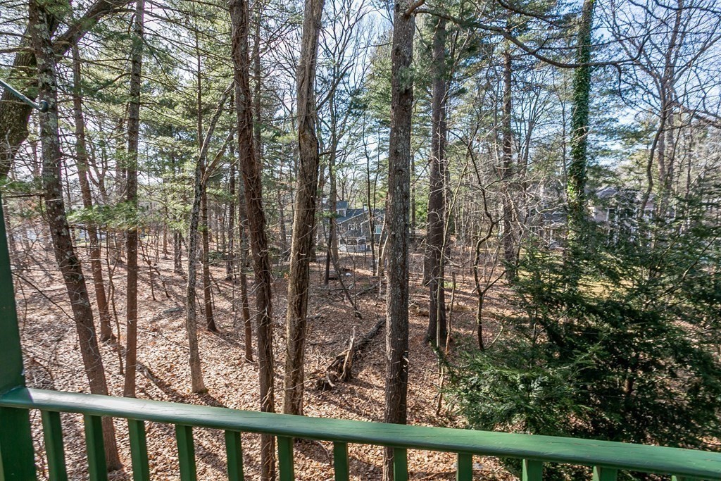 47 Scott Road Needham, MA 02492 - Photo 17 of 25 Gallery Image 17