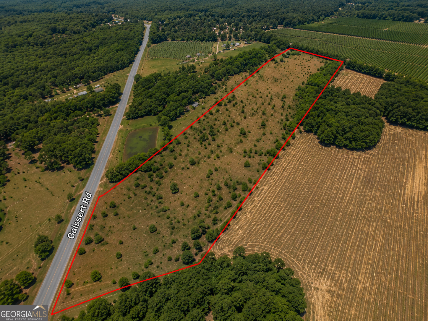 25.69-acres Gaissert Road Albany, GA 31705 - Photo 6 of 9