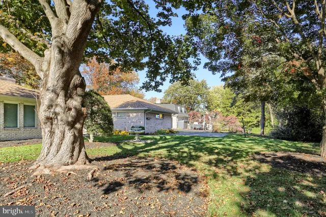 a tree in front of a white house
