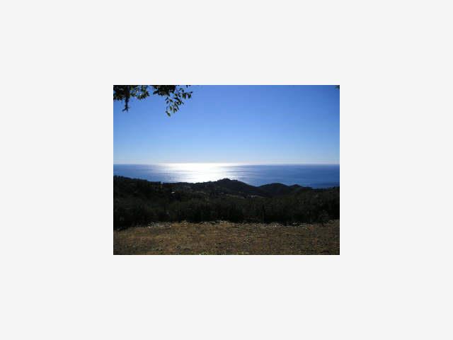 46051 Pfeiffer Ridge Road Big Sur, CA 93920 - Photo 3 of 5 Gallery Image 3