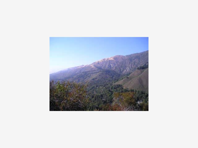 46051 Pfeiffer Ridge Road Big Sur, CA 93920 - Photo 5 of 5 Gallery Image 5