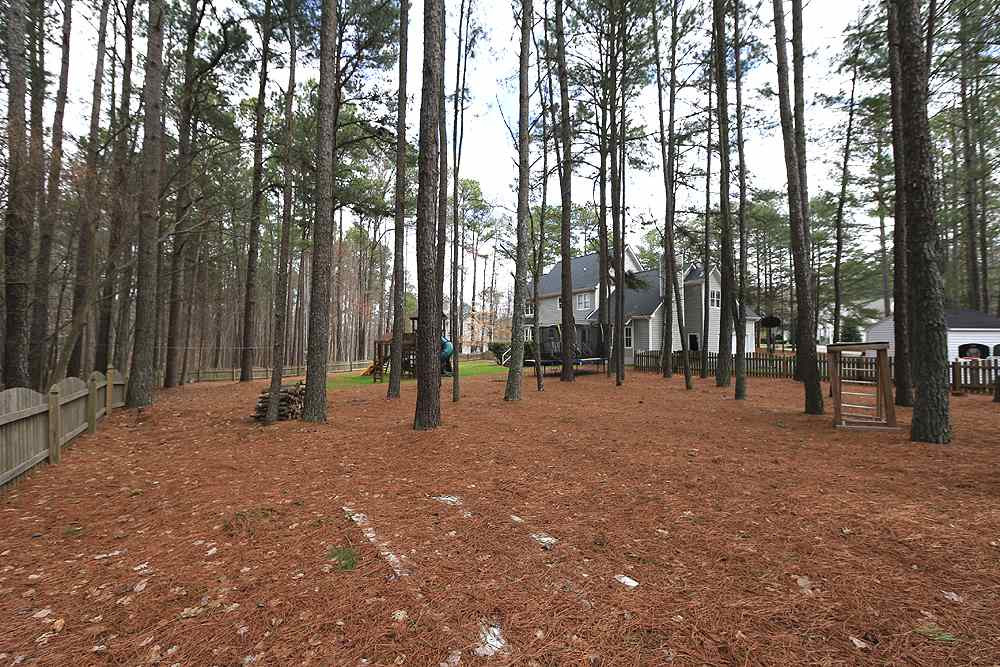 10005 Layton Ray Circle Raleigh, NC 27613 - Photo 27 of 27 View of the Yard