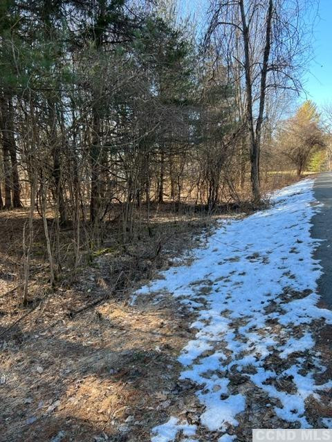 1781 Sleepy Hollow Road Athens, NY 12015 - Photo 2 of 5 Photo 2