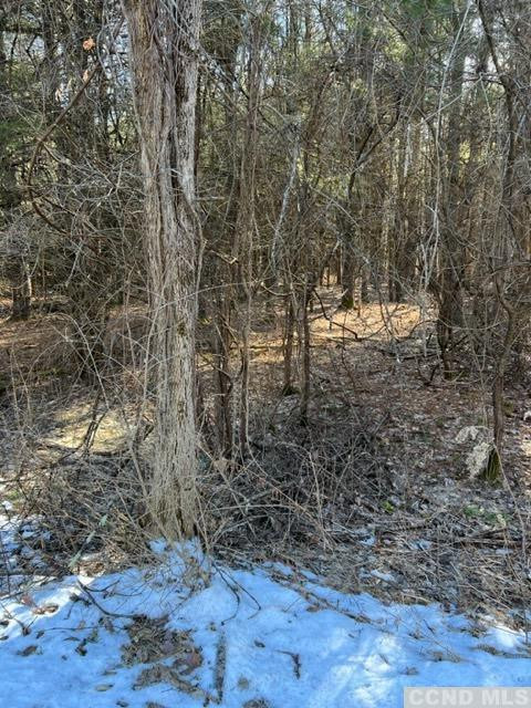 1781 Sleepy Hollow Road Athens, NY 12015 - Photo 3 of 5 Photo 3