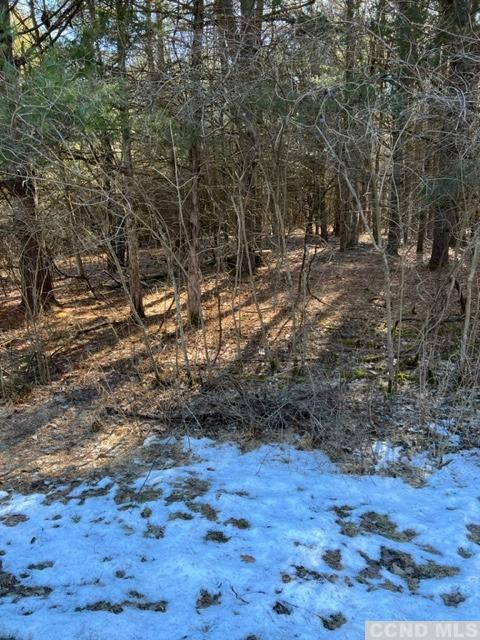 1781 Sleepy Hollow Road Athens, NY 12015 - Photo 4 of 5 Photo 4