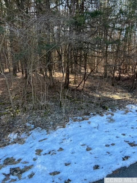 1781 Sleepy Hollow Road Athens, NY 12015 - Photo 5 of 5 Photo 5