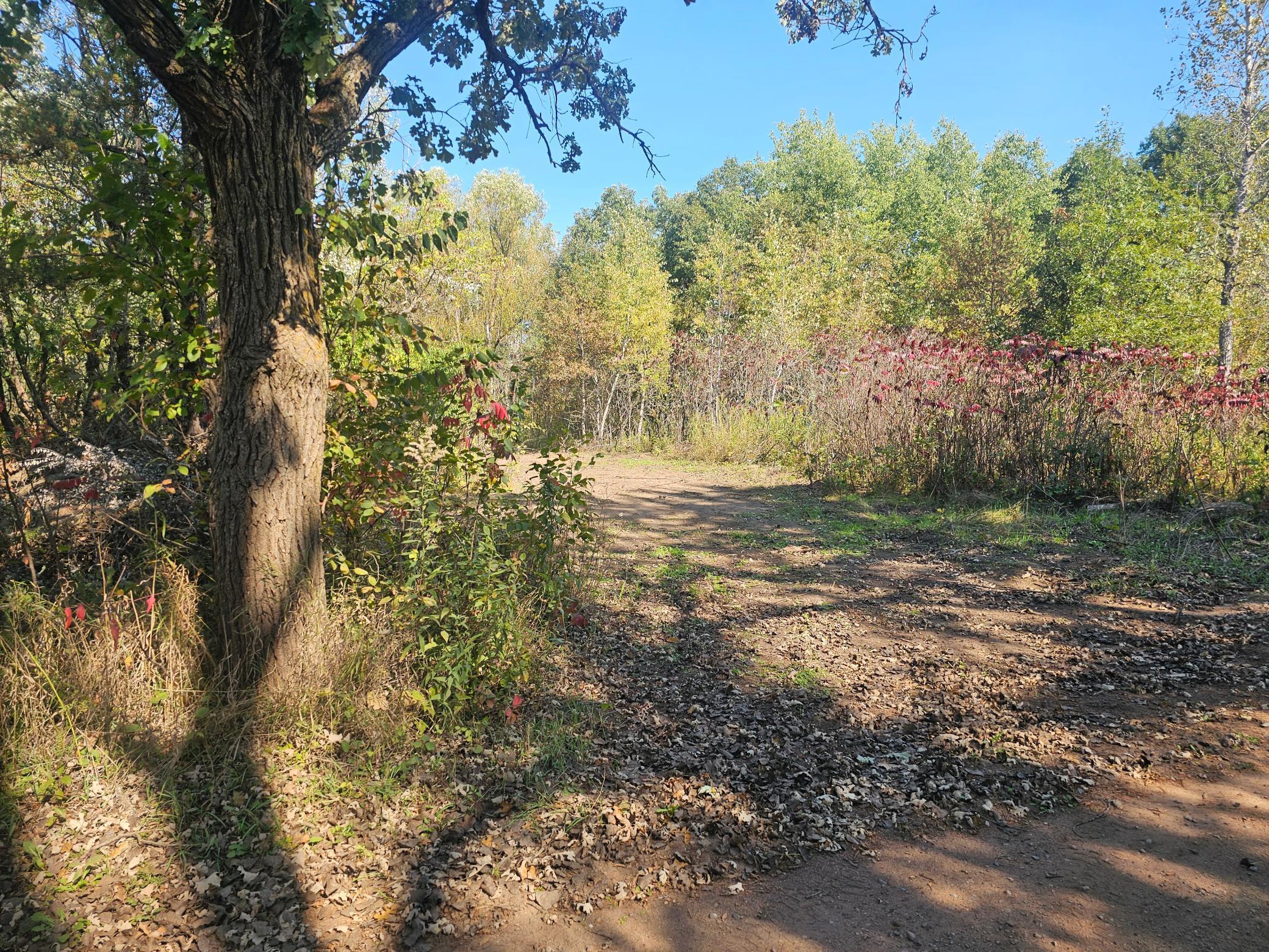 Tbd Miller Lake Road Crosby, MN 56441 - Photo 11 of 14