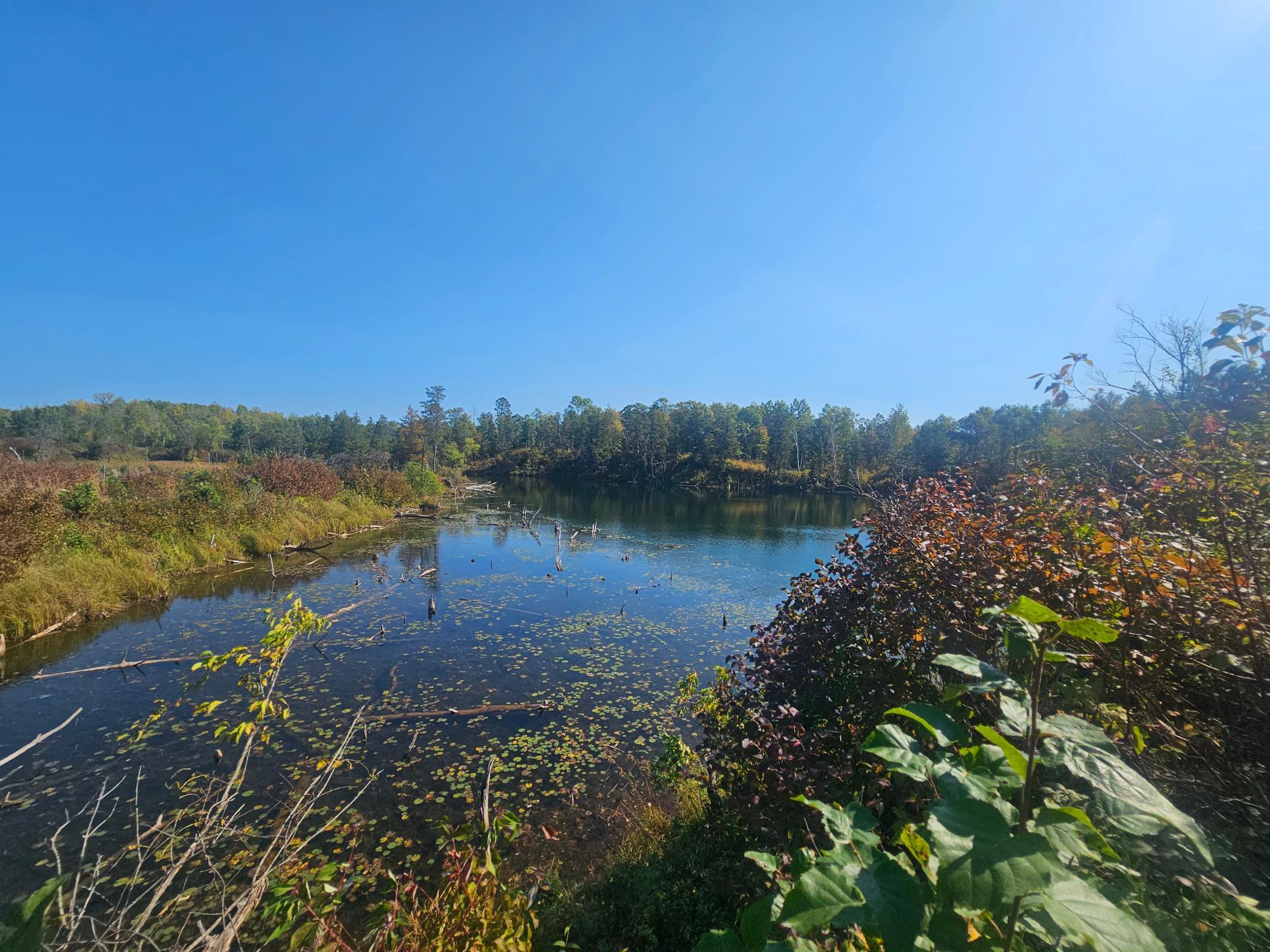 Tbd Miller Lake Road Crosby, MN 56441 - Photo 3 of 14