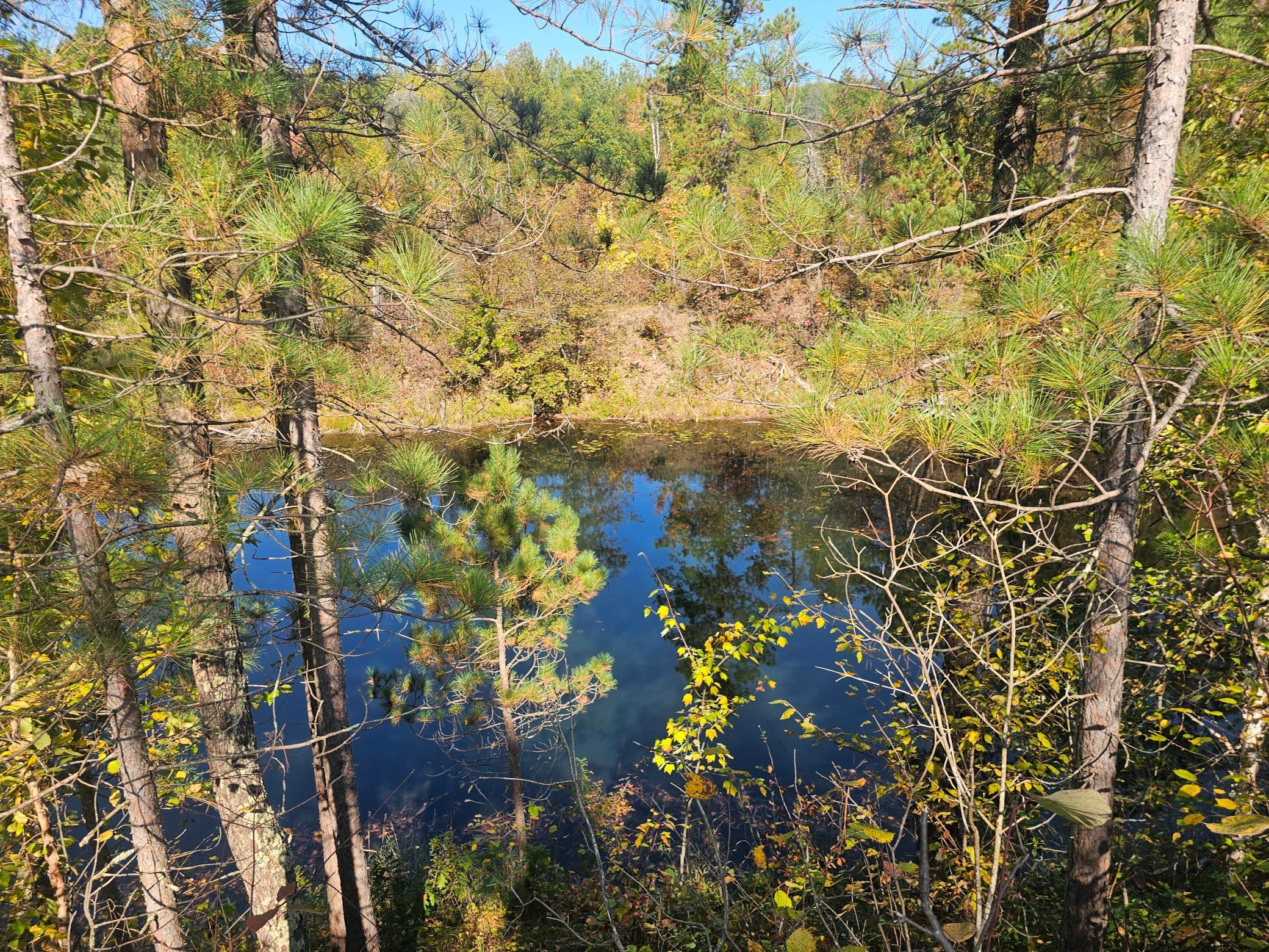 Tbd Miller Lake Road Crosby, MN 56441 - Photo 4 of 14