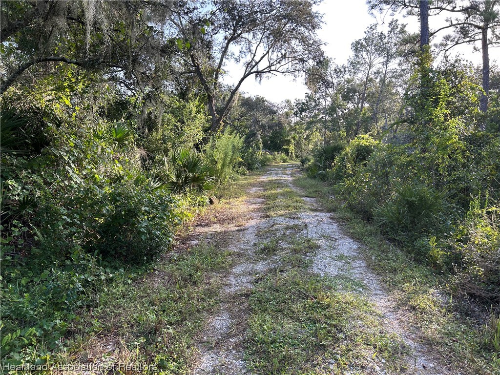 6835 Sparta Road Sebring, FL 33875 - Photo 11 of 22 a view of a forest with trees in the background