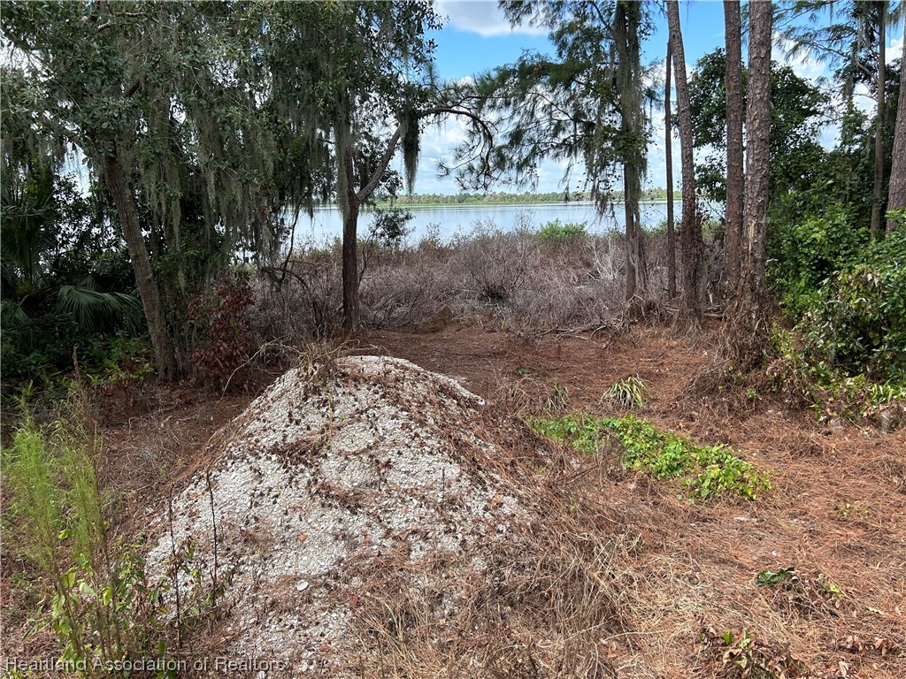 6835 Sparta Road Sebring, FL 33875 - Photo 12 of 22 a view of a yard with plants and trees